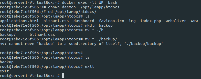 docker_xampp_backup